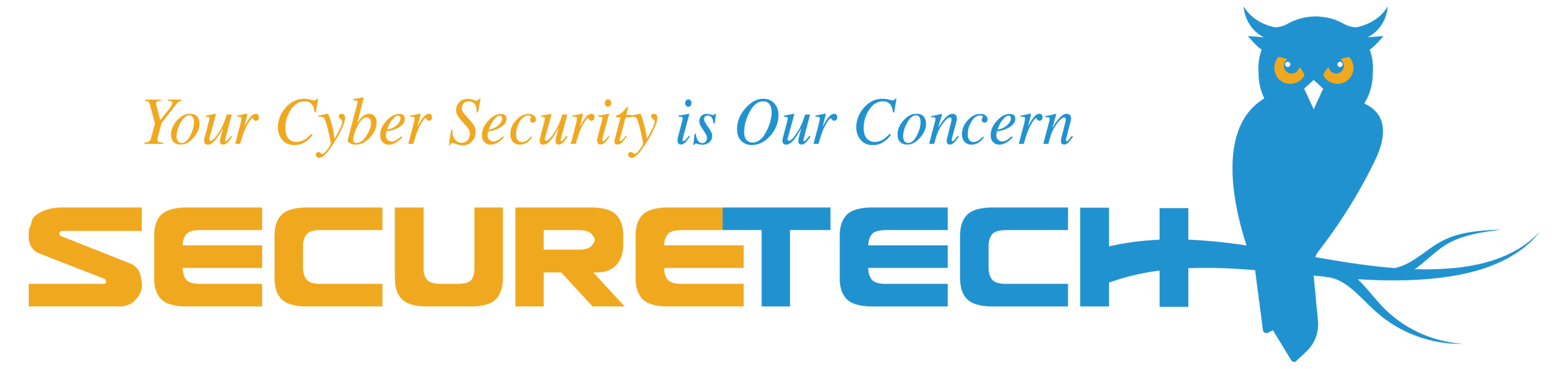 Securetech logo: your cyber security is our concern